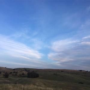 Meet your Posher, Ariana